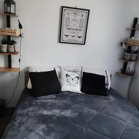 Petit Nid Douillet Dans Un Cocon De Verdure * Vaires-sur-Marne