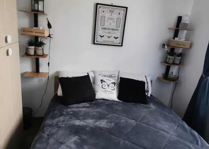 Petit Nid Douillet Dans Un Cocon De Verdure * Vaires-sur-Marne